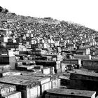 GERUSALEMME - Cimitero giudaico sul Monte degli Olivi