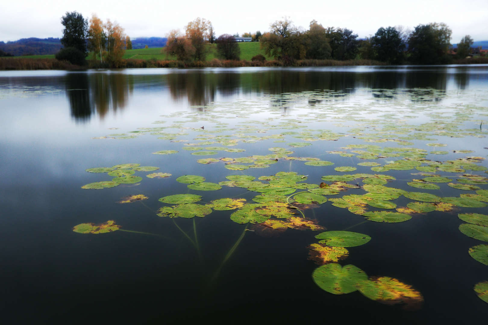 Gerzensee