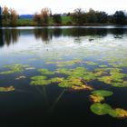 Gerzensee