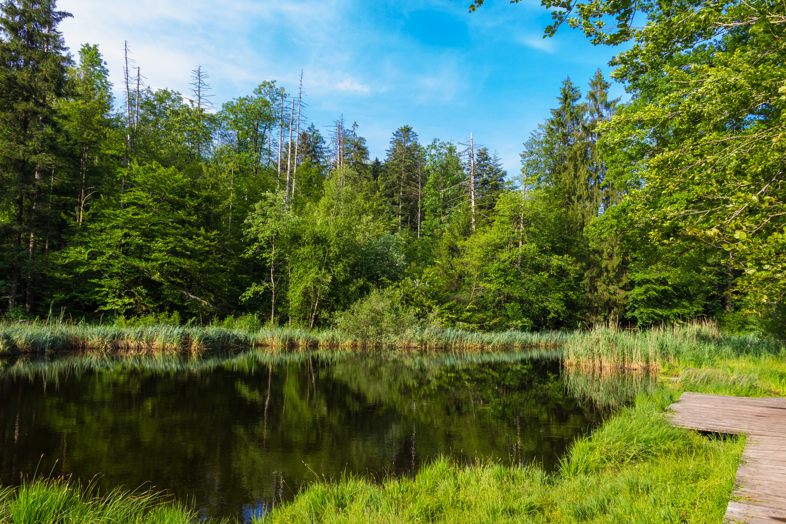 Gerzensee