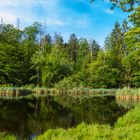 Gerzensee