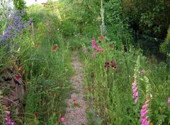 gesäumter Gartenweg