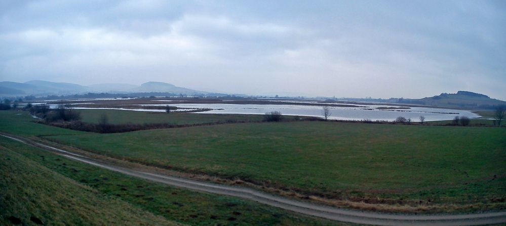 Gesamtübersicht auf das eingestaute Leinepolder 1 bei Salzderhelden.