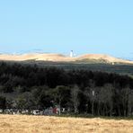 Gesamtübersicht über die Wanderdüne "Rubjerg Knude" mit eingesandetem Leuchtturm.