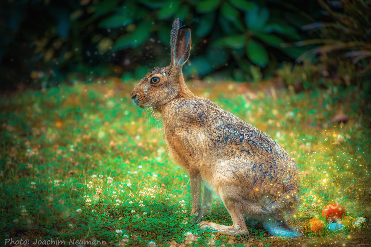 Geschafft....Ostern kann kommen...