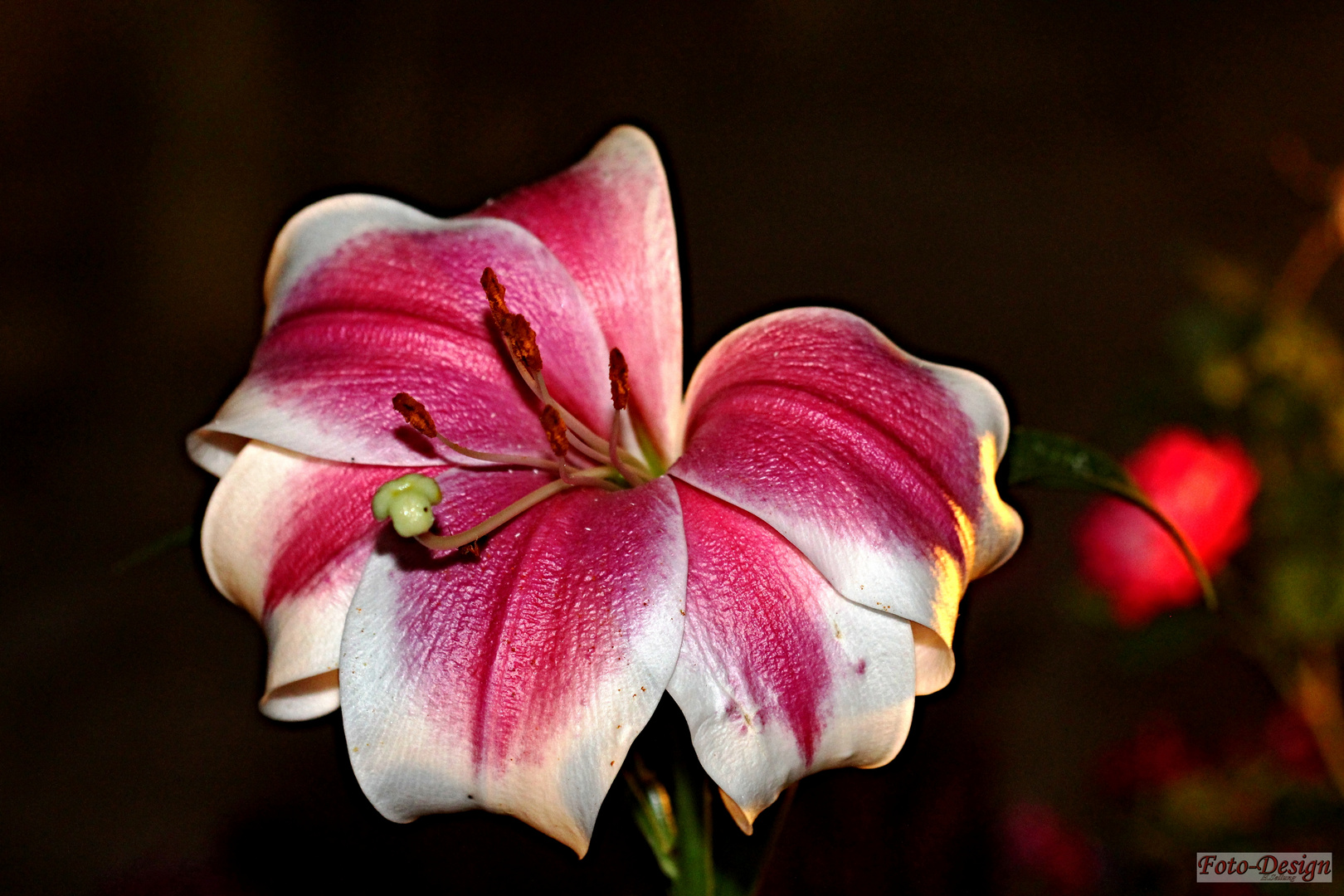 Geschenk der Natur