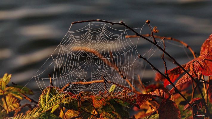 Geschenk für den Frühaufsteher (I)