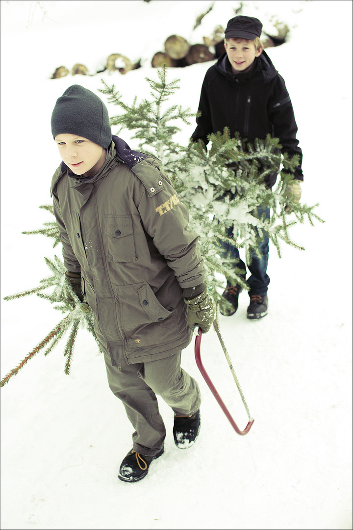 Geschenke findet man unter dem Tannenbaum.