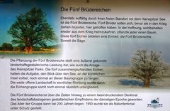 Geschichte der 5 Brüder Eichen