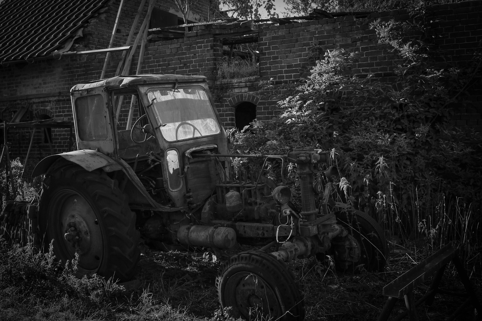 Geschichte der Landwirtschaft I