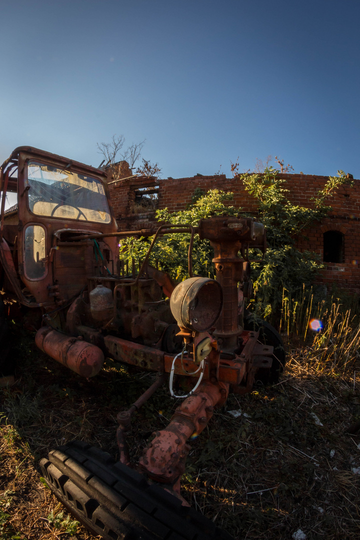 Geschichte der Landwirtschaft V