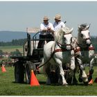 Geschicklichkeitsfahren Poschetsried - Percherons