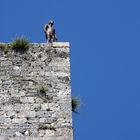 Geschlechterturm in San Gimignano mit Installation des britischen Künstlers Antony Gormley