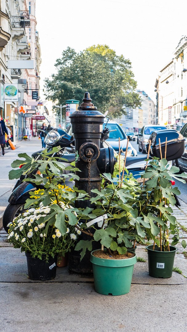 Geschmückter Hydrant auf der Alserstraße