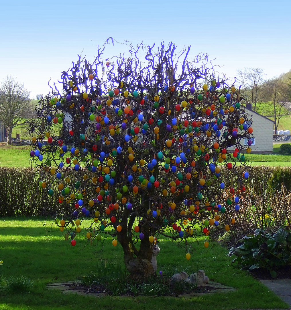 -Geschmückter Osterbaum-