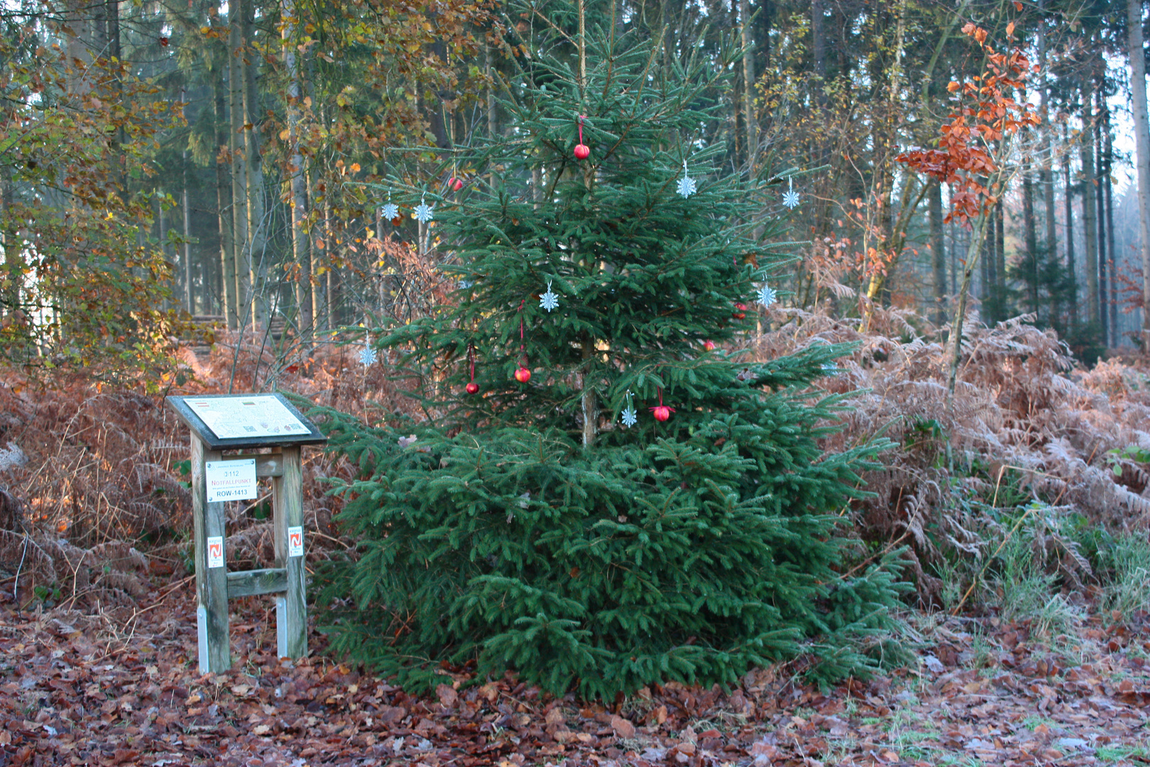 Geschmückter Tannenbaum im Wald