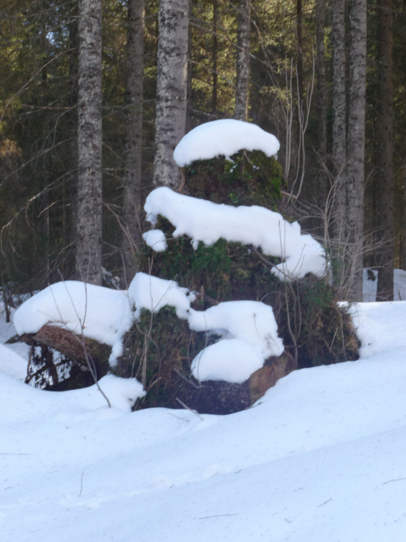 geschmückter Weihnachtsbaum