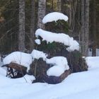 geschmückter Weihnachtsbaum