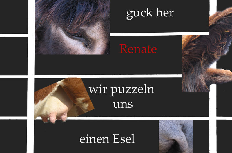 Geschnetzeltes