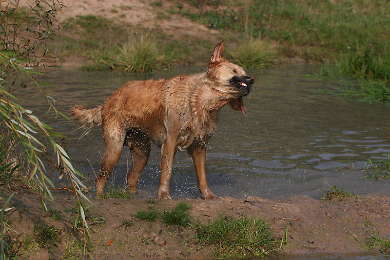 Geschüttelt! Nicht gerürt... 00Sam in Action