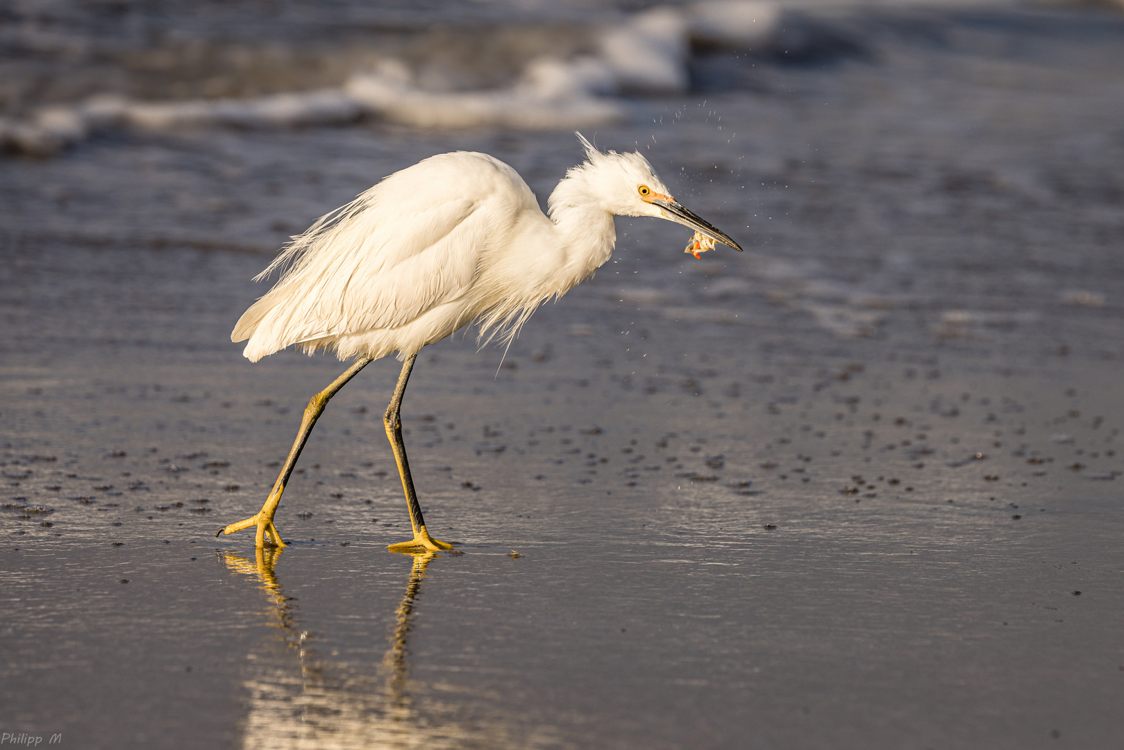 Geschüttelt und nicht gerührt… Foto & Bild wasser, meer, natur Bilder auf