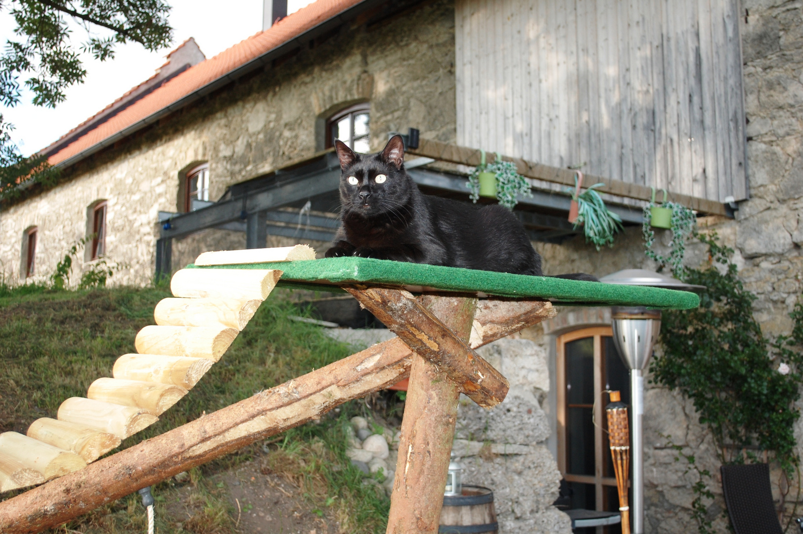 Geschützstellung auf dem Kratzbaum