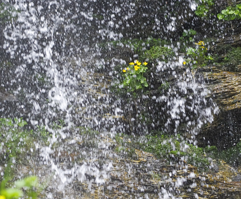 Geschützt hinter dem Wasserfall