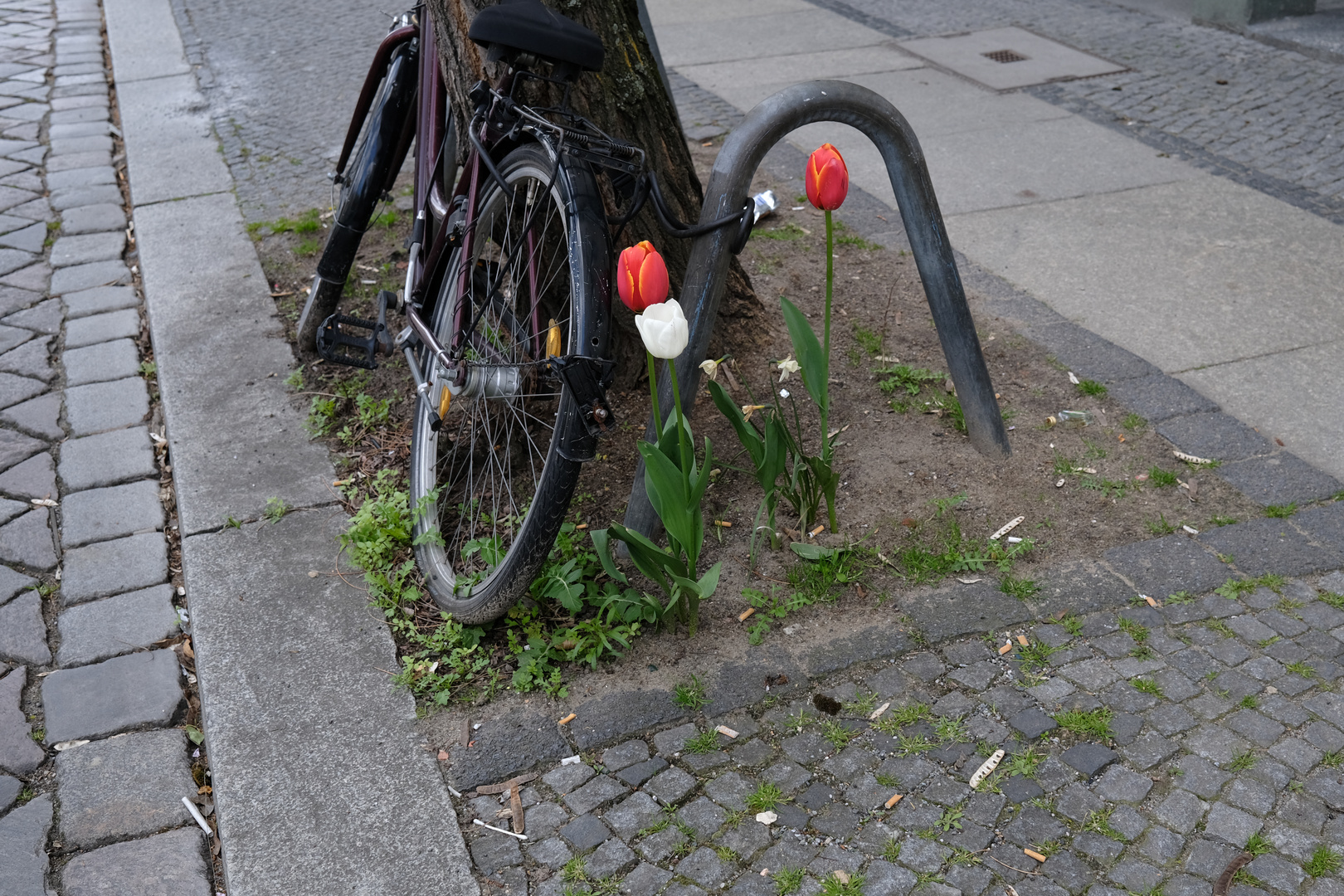 Geschützt und fest gemacht