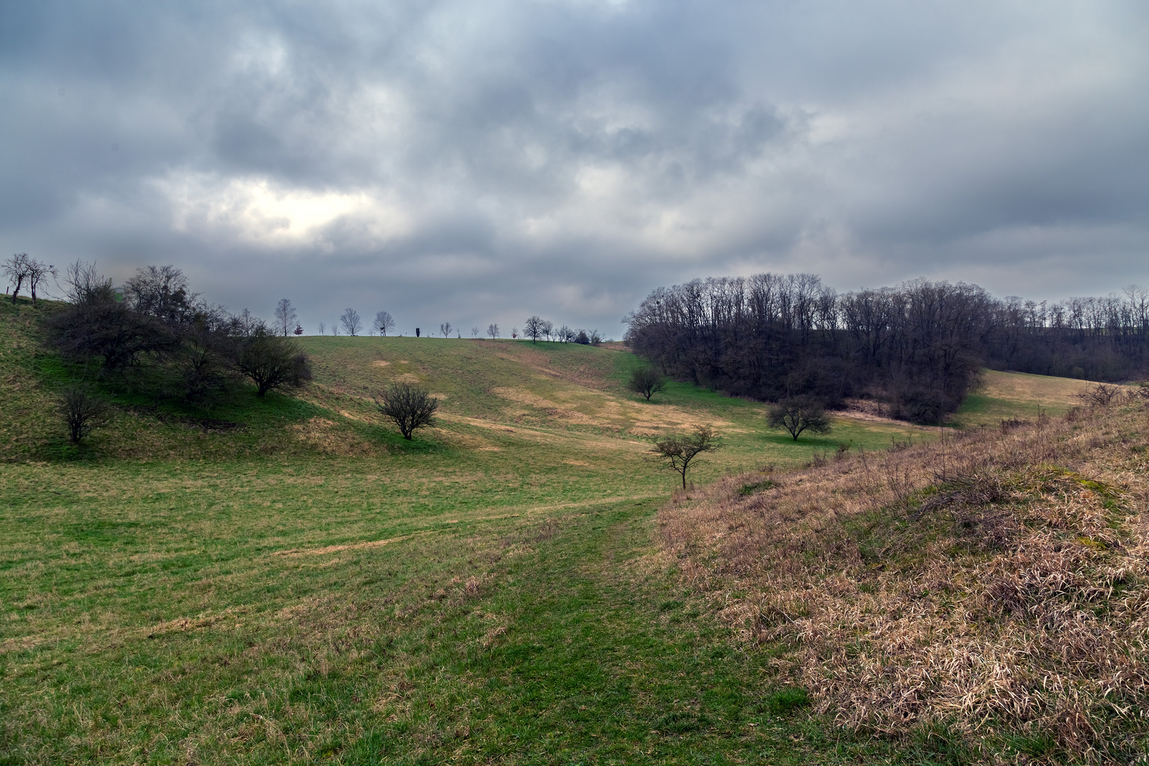 Geschützte Landschaft bei Mallnow