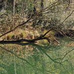 geschützter Lebensraum im Spiegelbild