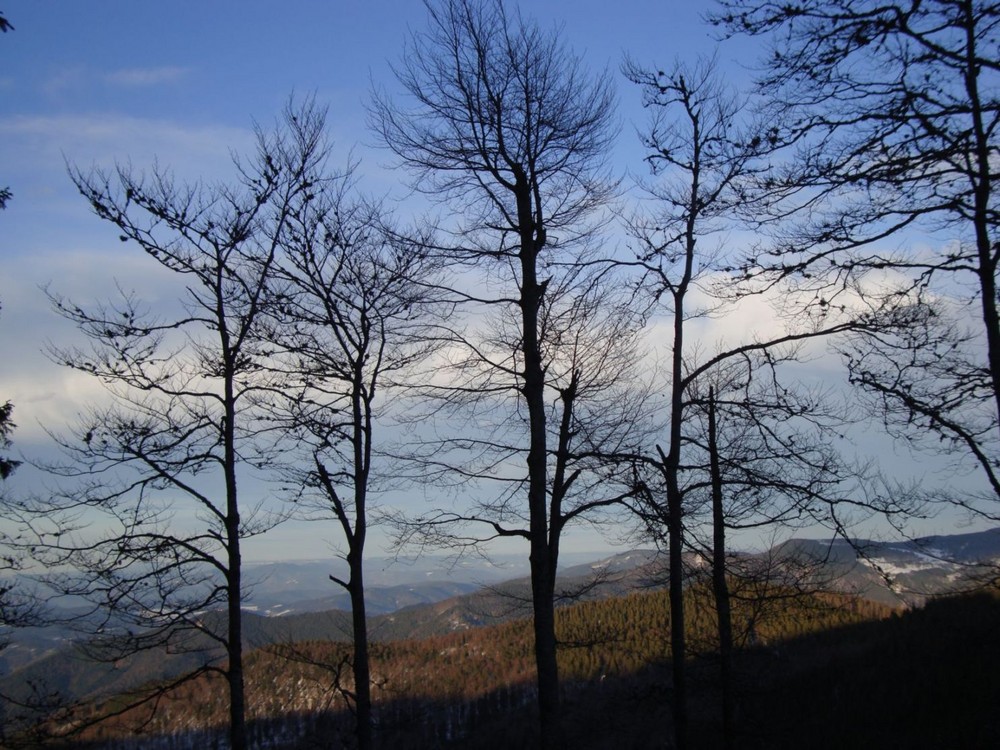 Geschütztes Panorama