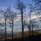 Geschütztes Panorama