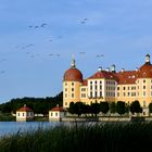 Geschwaderanflug