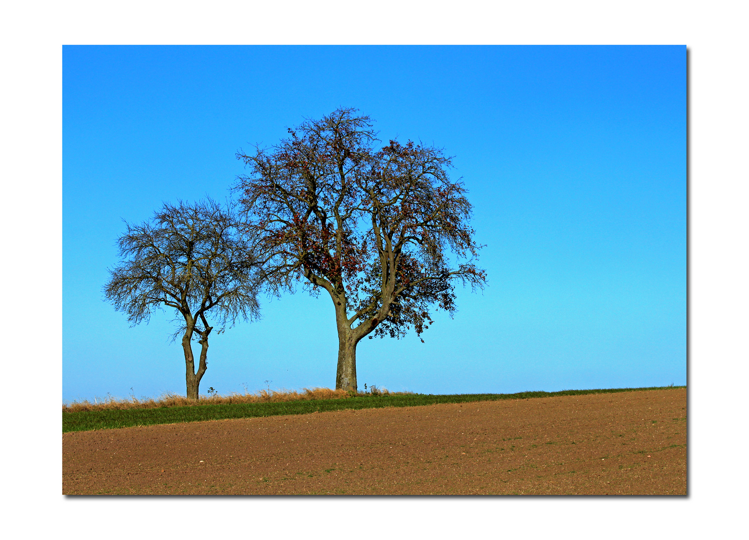 ***Geschwister***