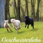 Geschwisterliebe