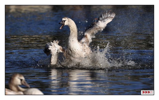 Geschwisterteil im Vordergrund