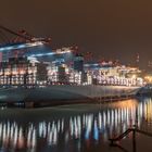 Geschwistertreffen im Hamburger Hafen