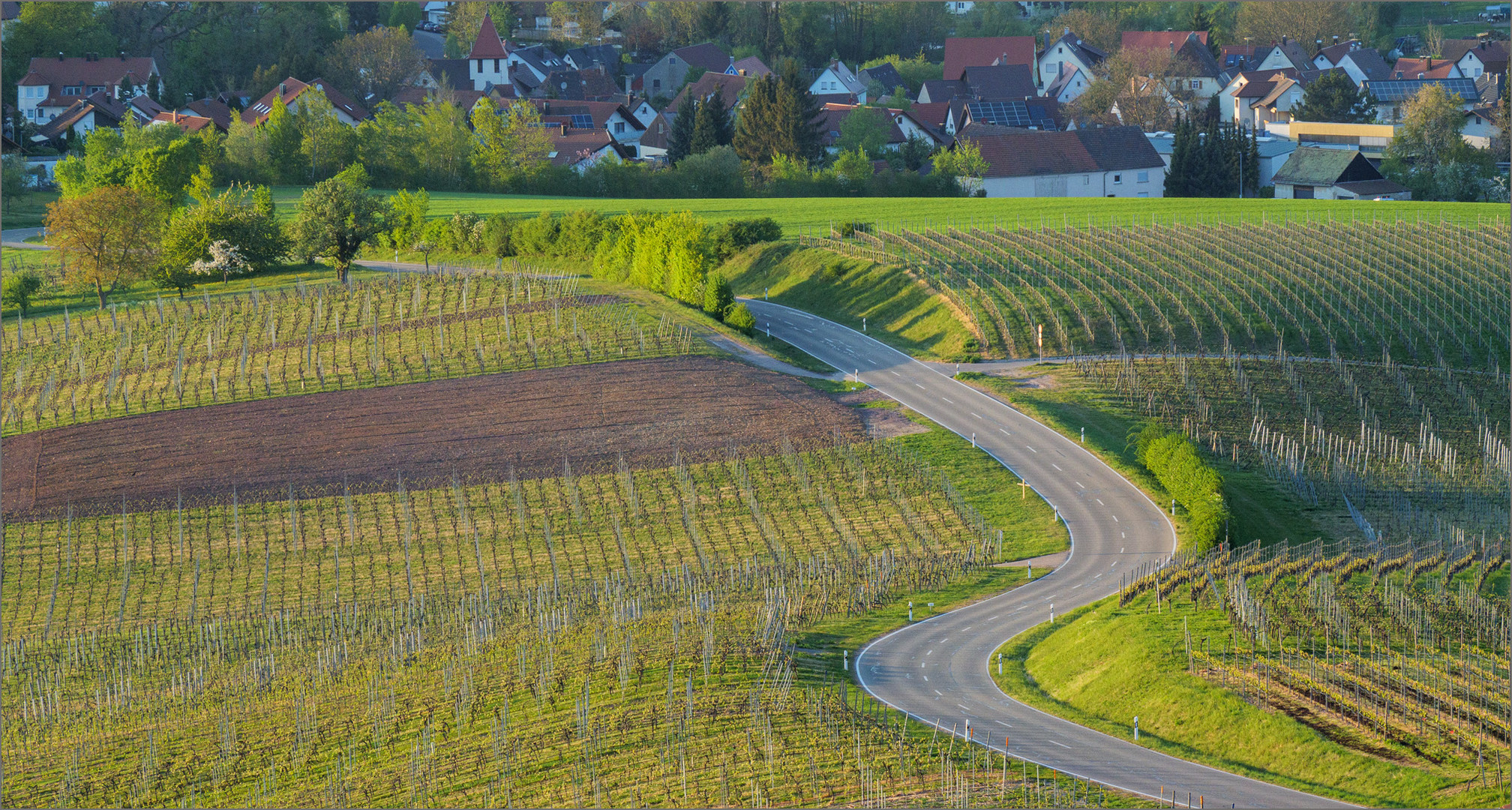 geschwungen