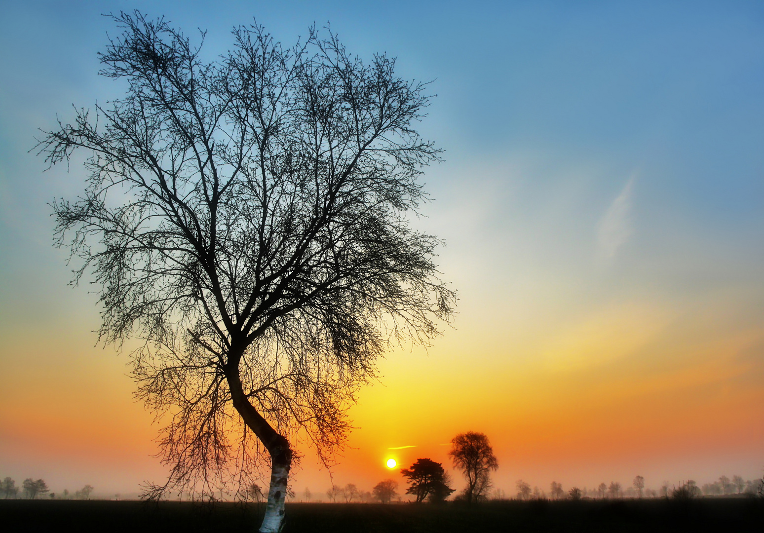 Geschwungen in den Sonnenaufgang