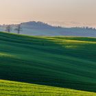 Geschwungen und Verdreht