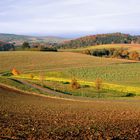 geschwungene Landschaft