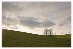 Geschwungene Landschaft