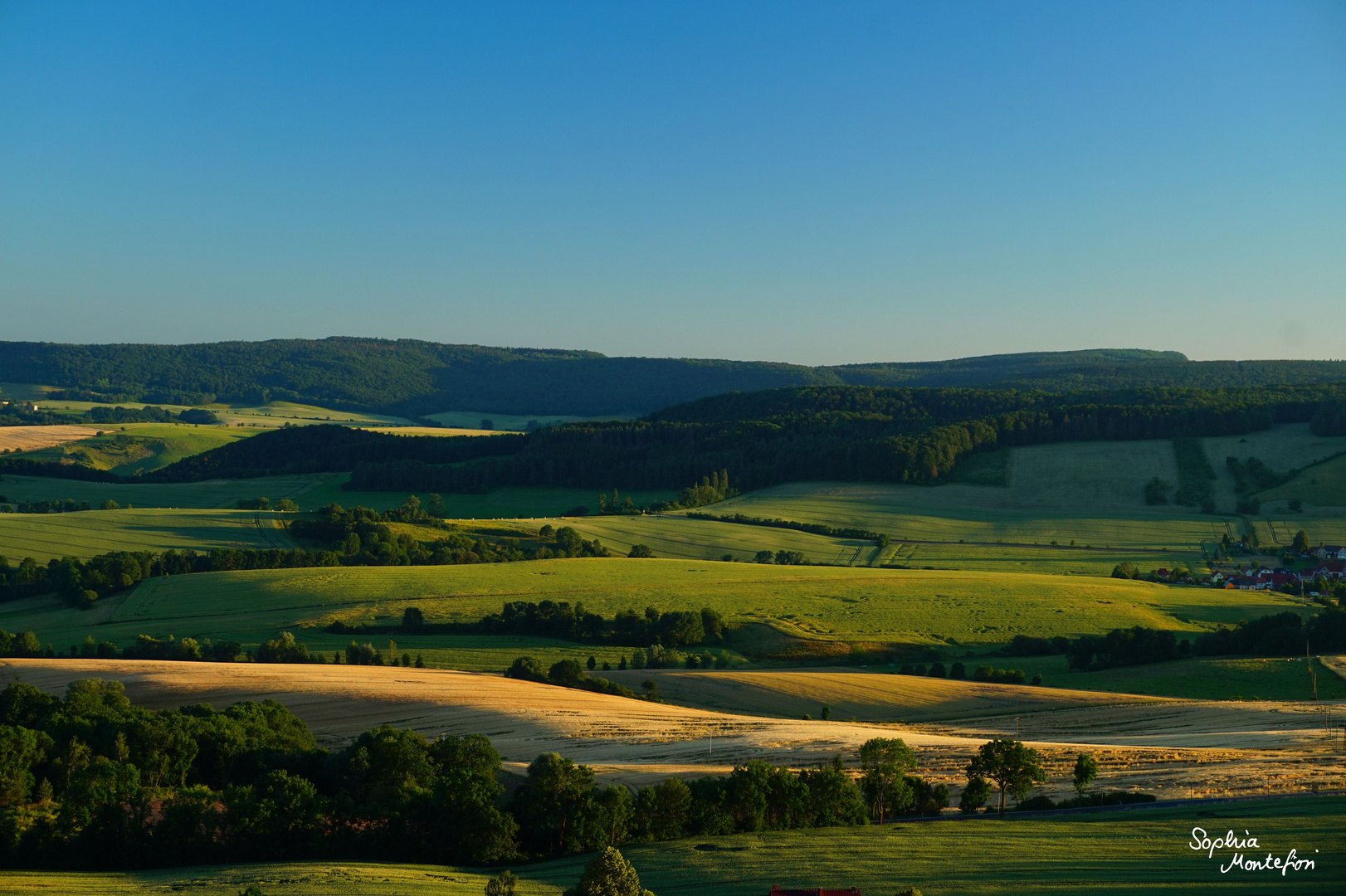 geschwungene Landschaftslinien