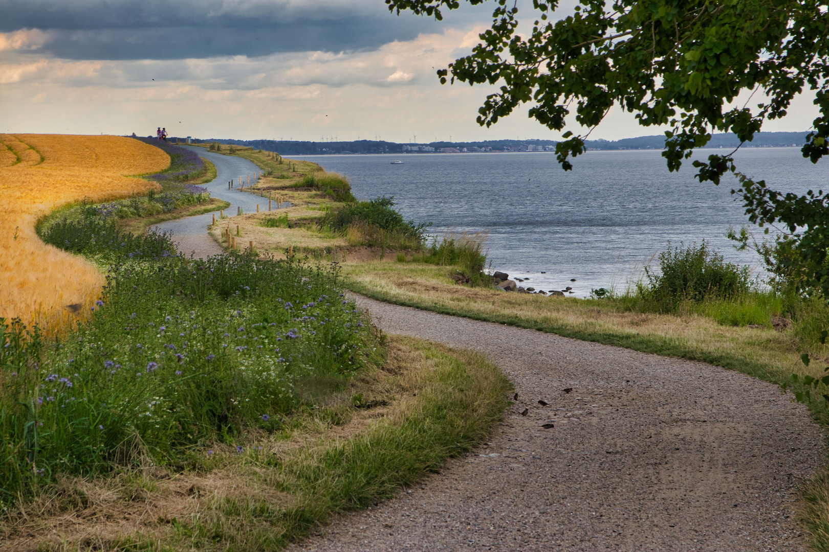 Geschwungene Wege am Brodtner Steilufer