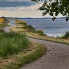 Geschwungene Wege am Brodtner Steilufer