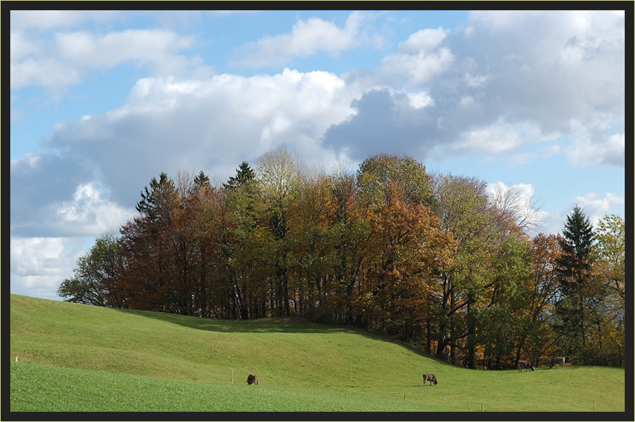 Geschwungener Jura