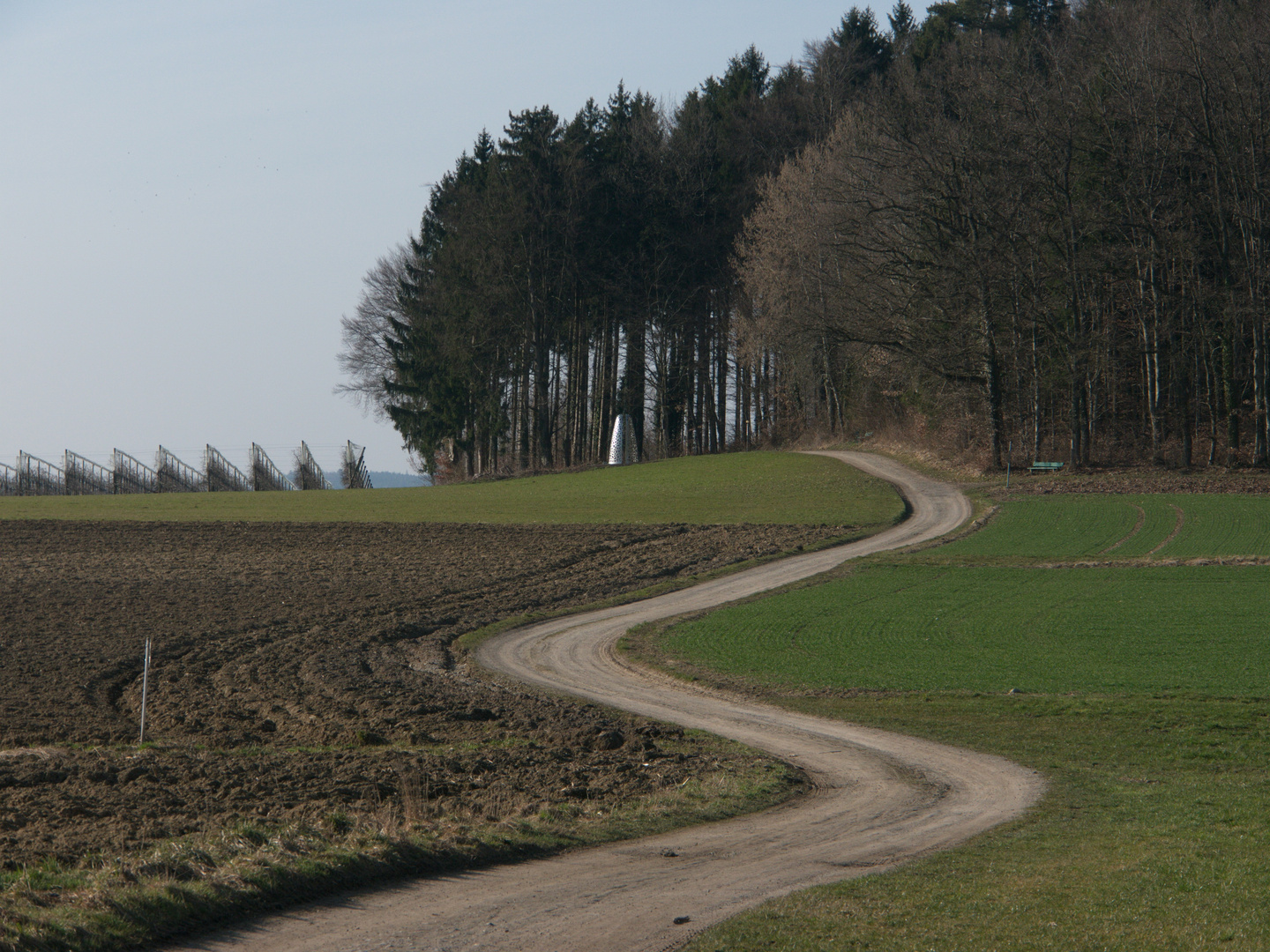 Geschwungener Weg