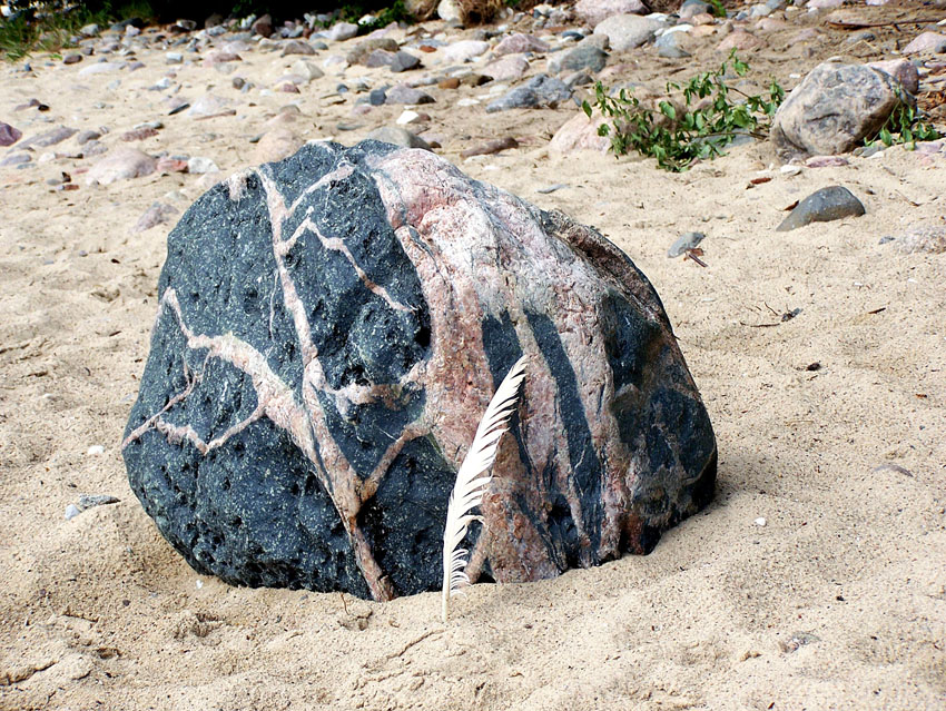 Gesehen am Strand in Göhren