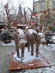 Gesehen auf dem Weihnachtsmarkt in Wroclaw