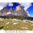 gesehen auf einer Wanderung am Fuße des Langkofels